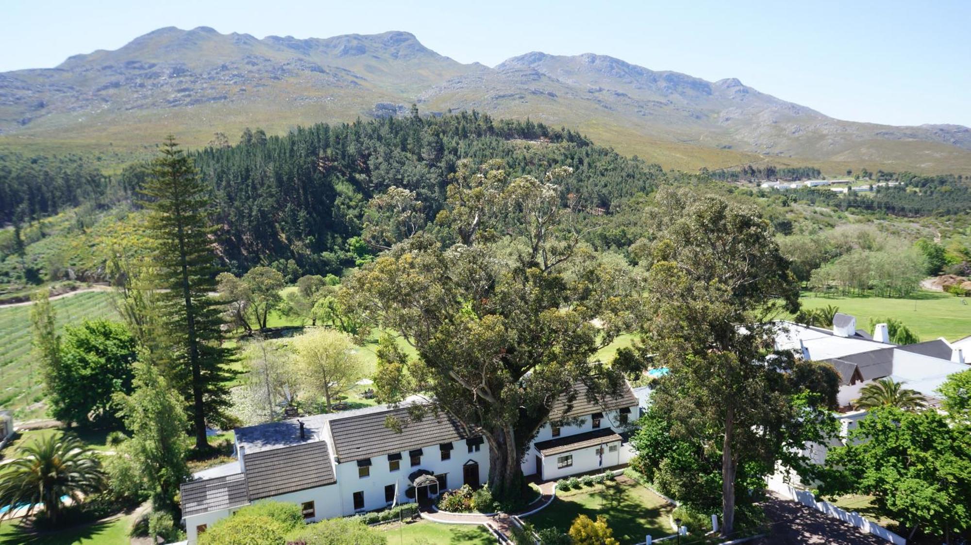 Houw Hoek Hotel Botrivier Eksteriør billede